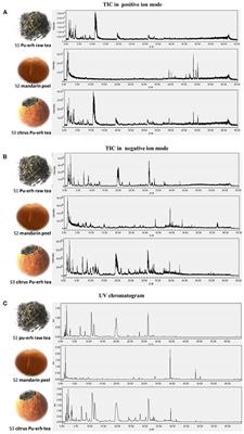 Flavor Characteristics of Ganpu Tea Formed During the Sun-Drying Processing and Its Antidepressant-Like Effects